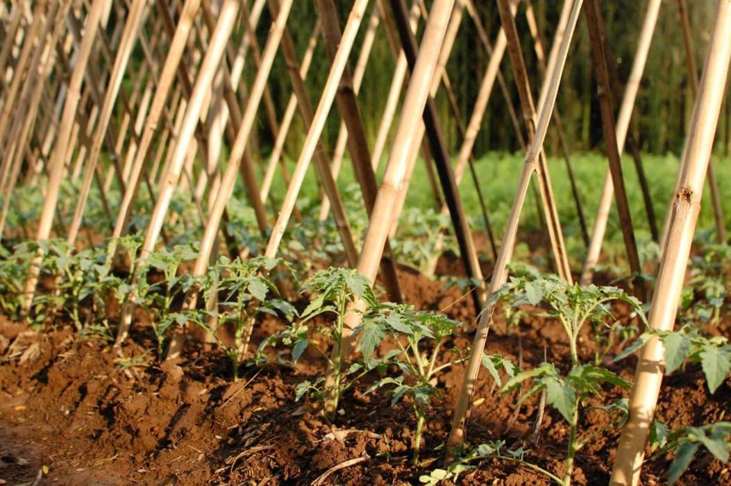 Chacara Das Lendas E Cancoes 帕萨夸特鲁 外观 照片